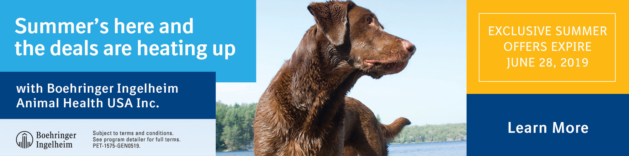 Summer's here and the deals are heating up with Boehringer Ingelheim Animal Health USA, Inc. Exclusive summer offers expire June 28, 2019. Click here to learn more.